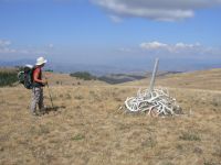 Elk antler cairn